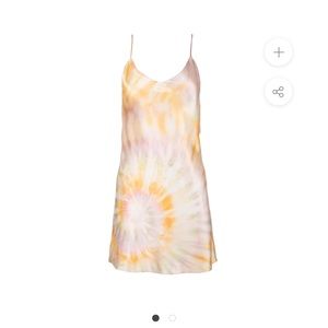 Dannijo Mango silk slip dress.